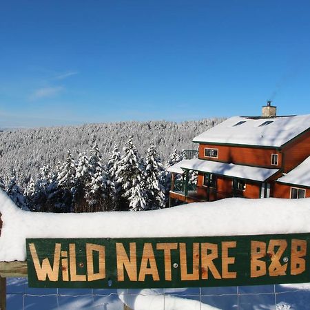 Wild Nature B&B Kelowna Buitenkant foto