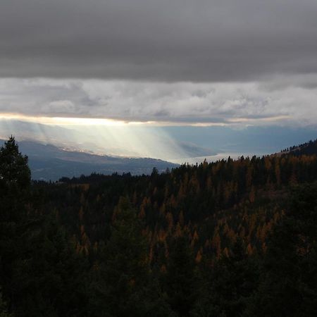 Wild Nature B&B Kelowna Buitenkant foto