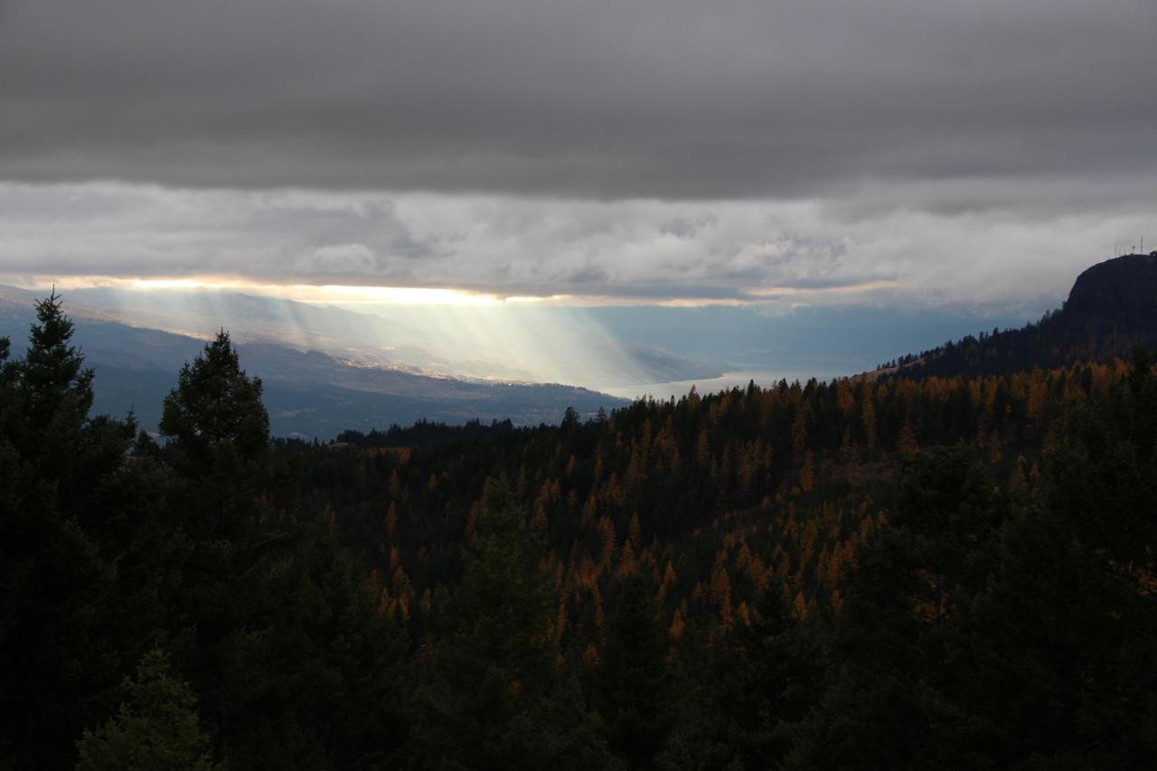 Wild Nature B&B Kelowna Buitenkant foto