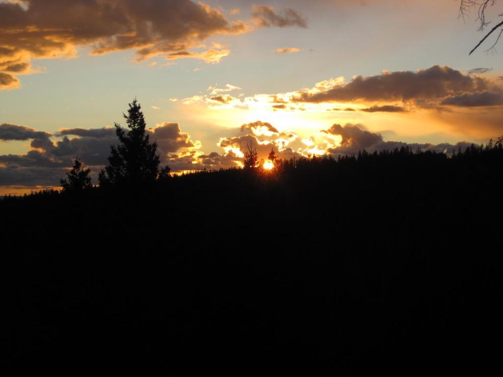 Wild Nature B&B Kelowna Buitenkant foto