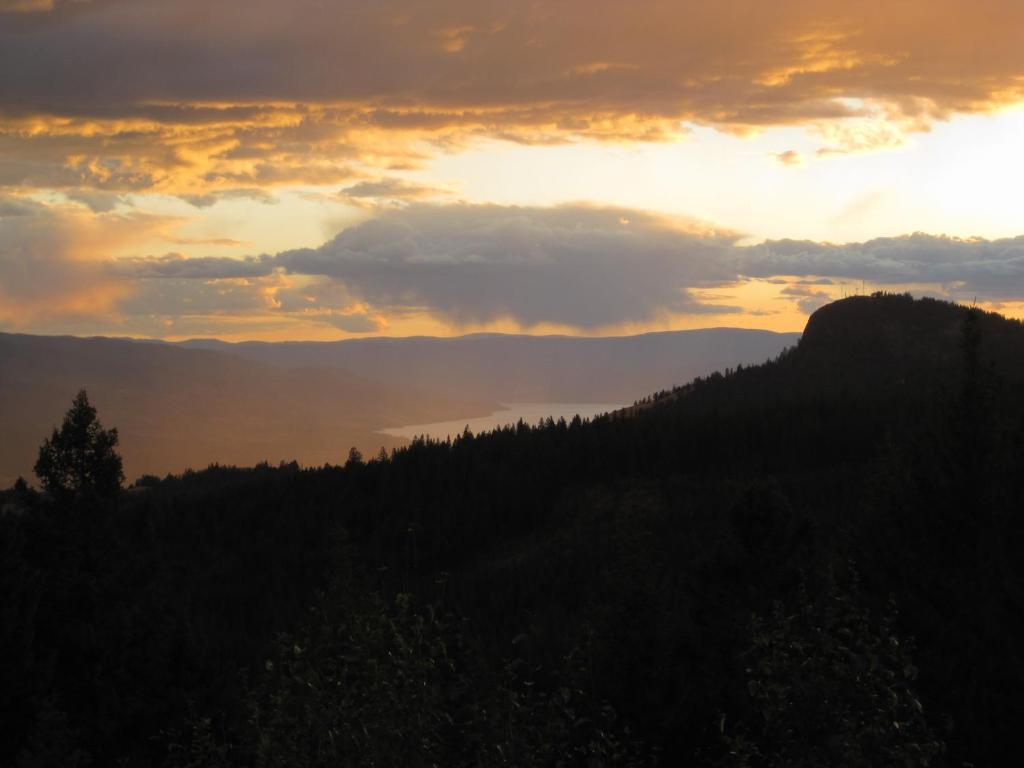 Wild Nature B&B Kelowna Buitenkant foto