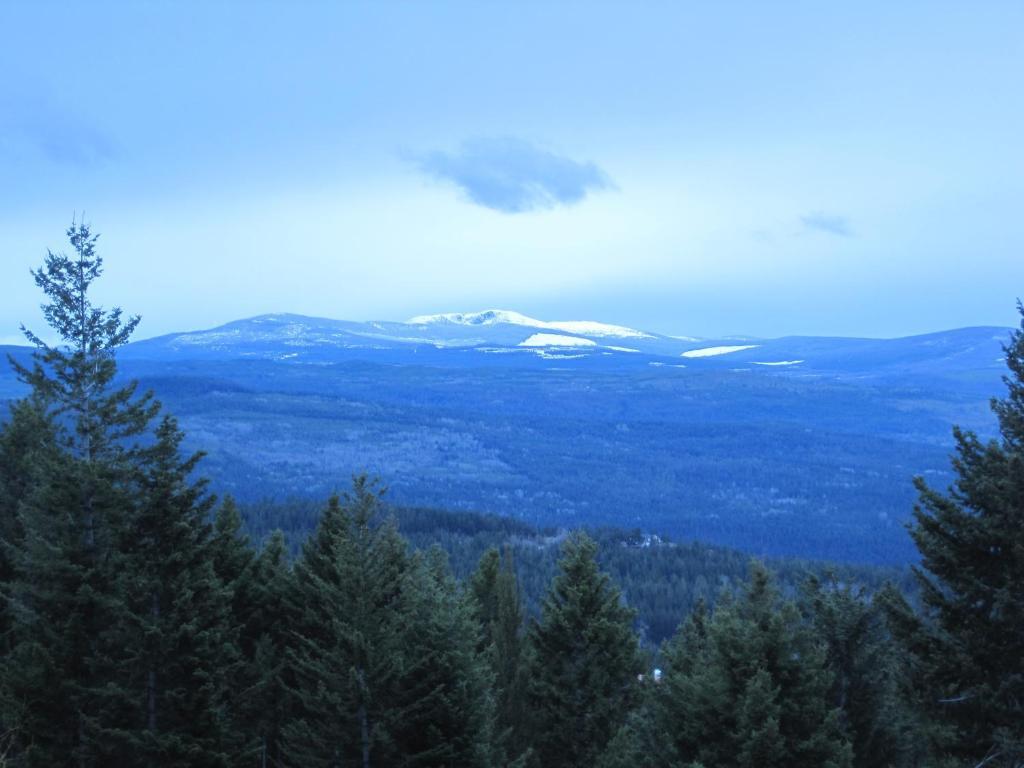 Wild Nature B&B Kelowna Buitenkant foto