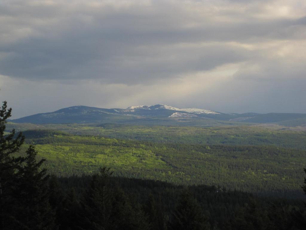 Wild Nature B&B Kelowna Buitenkant foto