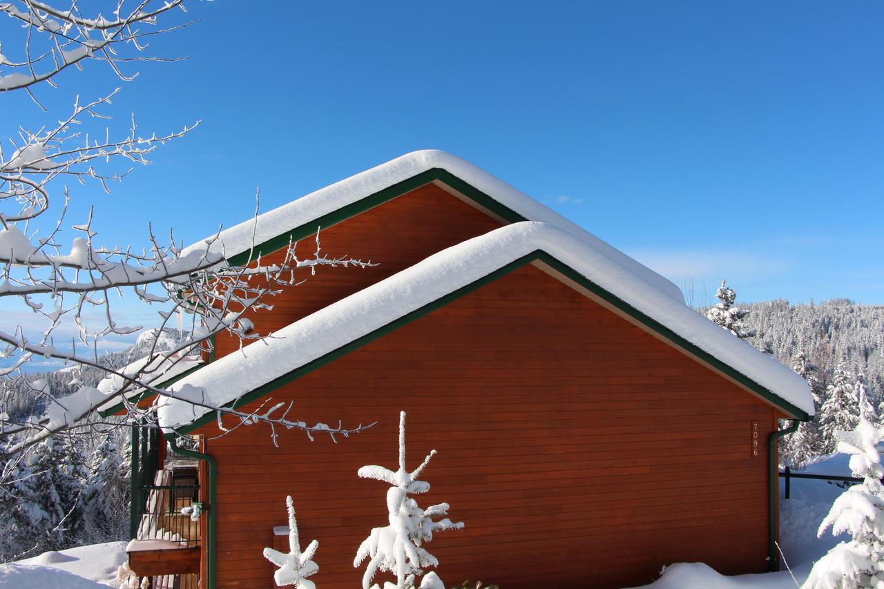 Wild Nature B&B Kelowna Buitenkant foto